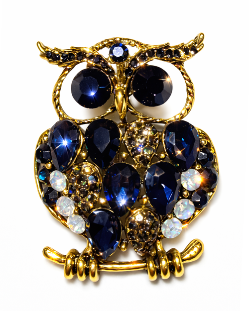 Hugs & Gifts | Gece Safiri Baykuş Broş 🦉✨