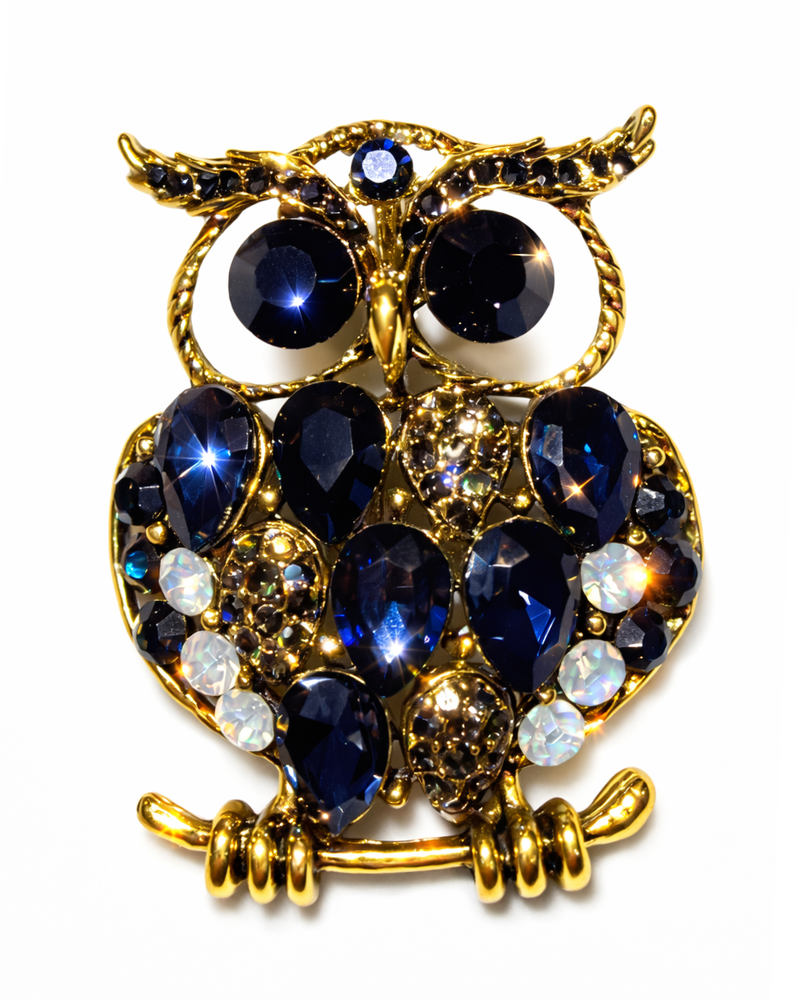 Hugs & Gifts | Gece Safiri Baykuş Broş 🦉✨